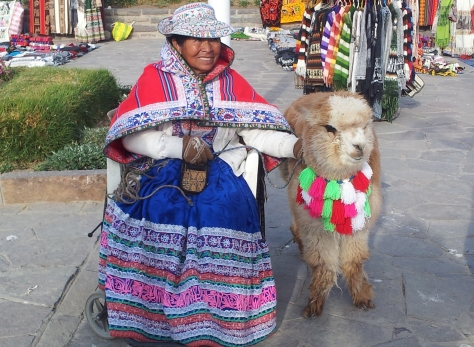 Canva - Peru, Chivay, Peruvian, Alpaca, Decorated, Costume